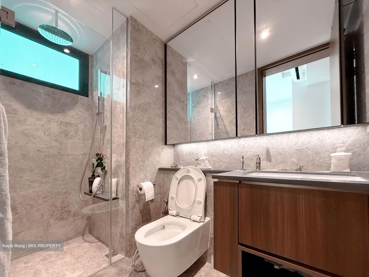 Kopar At Newton (D9), Apartment #553775331